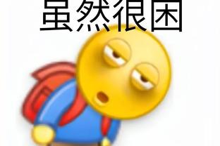 开云app登录入口官网网址